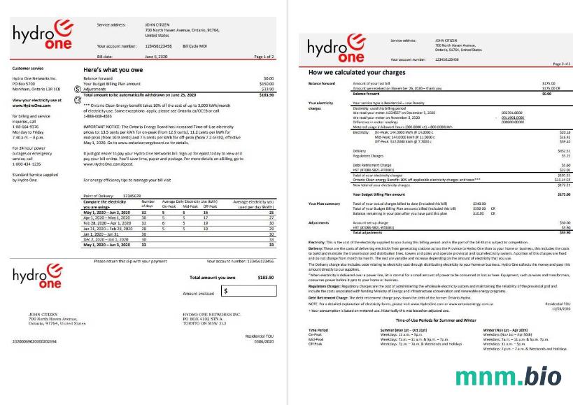 Szablon rachunku za energię elektryczną Hydro One w USA Ontario w formacie Word i PDF (2 strony)